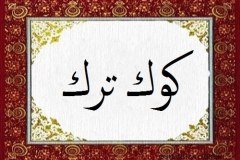 Gokturk