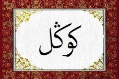 Gonul