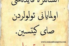 Hz. Ali
