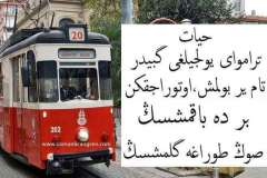 Hayat