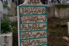 hafiz-ali