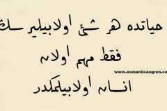 hayat-insan2