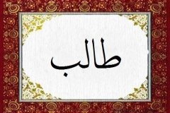 Talip