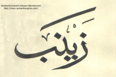 Zeynep-2